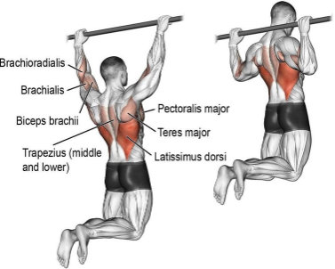Behind-the-neck pull-up exercise